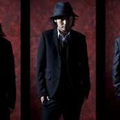 Acidman - List pictures