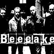 Beecake - List pictures