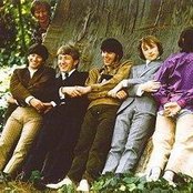 Buffalo Springfield - List pictures