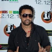 Shaggy - List pictures