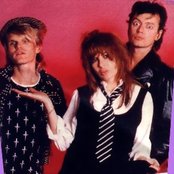 The Divinyls - List pictures