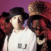 Big Audio Dynamite - List pictures