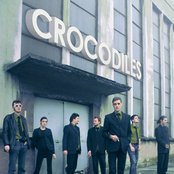 Crocodiles - List pictures