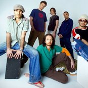 Cat Empire - List pictures