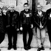 Screeching Weasel - List pictures