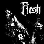 Flesh - List pictures