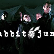 Rabbit Junk - List pictures