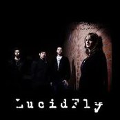 Lucid Fly - List pictures