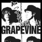 Grapevine - List pictures