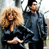 Lion Babe - List pictures