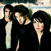 Sick Puppies - List pictures