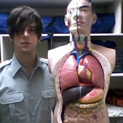 Dallon Weekes - List pictures