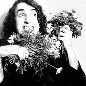 Tiny Tim - List pictures