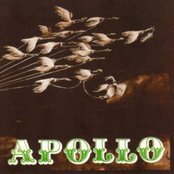 Apollo - List pictures