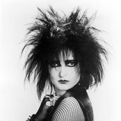 Siouxsie - List pictures