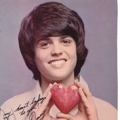 Donny Osmond - List pictures