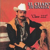 El Chapo De Sinaloa - List pictures
