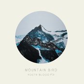 Mountain Bird - List pictures