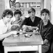 The Feelies - List pictures