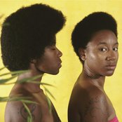 Theesatisfaction - List pictures