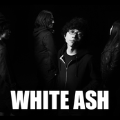 White Ash - List pictures