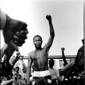 Seun Kuti - List pictures