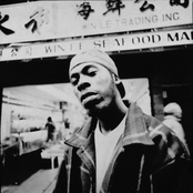 Gza - List pictures