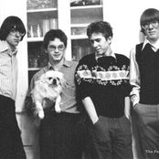 The Feelies - List pictures