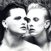 Virgin Prunes - List pictures