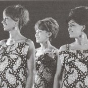 The Velvelettes - List pictures