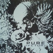 Pure - List pictures