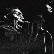 Howlin' Wolf - List pictures