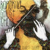 Roadkill Ghost Choir - List pictures