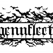 Genuflect - List pictures