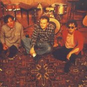 The Feelies - List pictures