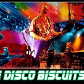 The Disco Biscuits - List pictures