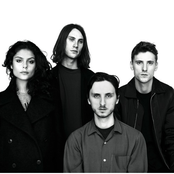 These New Puritans - List pictures