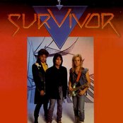 Survivor - List pictures