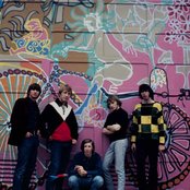 Buffalo Springfield - List pictures