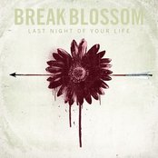 Break Blossom - List pictures