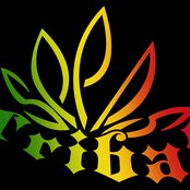 Tribal Seeds - List pictures