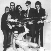 The Rezillos - List pictures