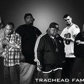 Trachead Family - List pictures