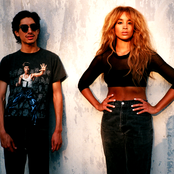 Lion Babe - List pictures