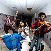 Carolina Chocolate Drops - List pictures