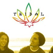 Tribal Seeds - List pictures