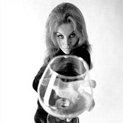 Ann-margret - List pictures