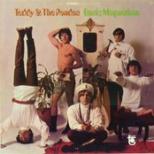 Teddy And The Pandas - List pictures