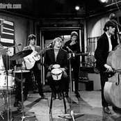 Yardbirds - List pictures