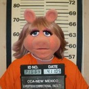 Miss Piggy - List pictures